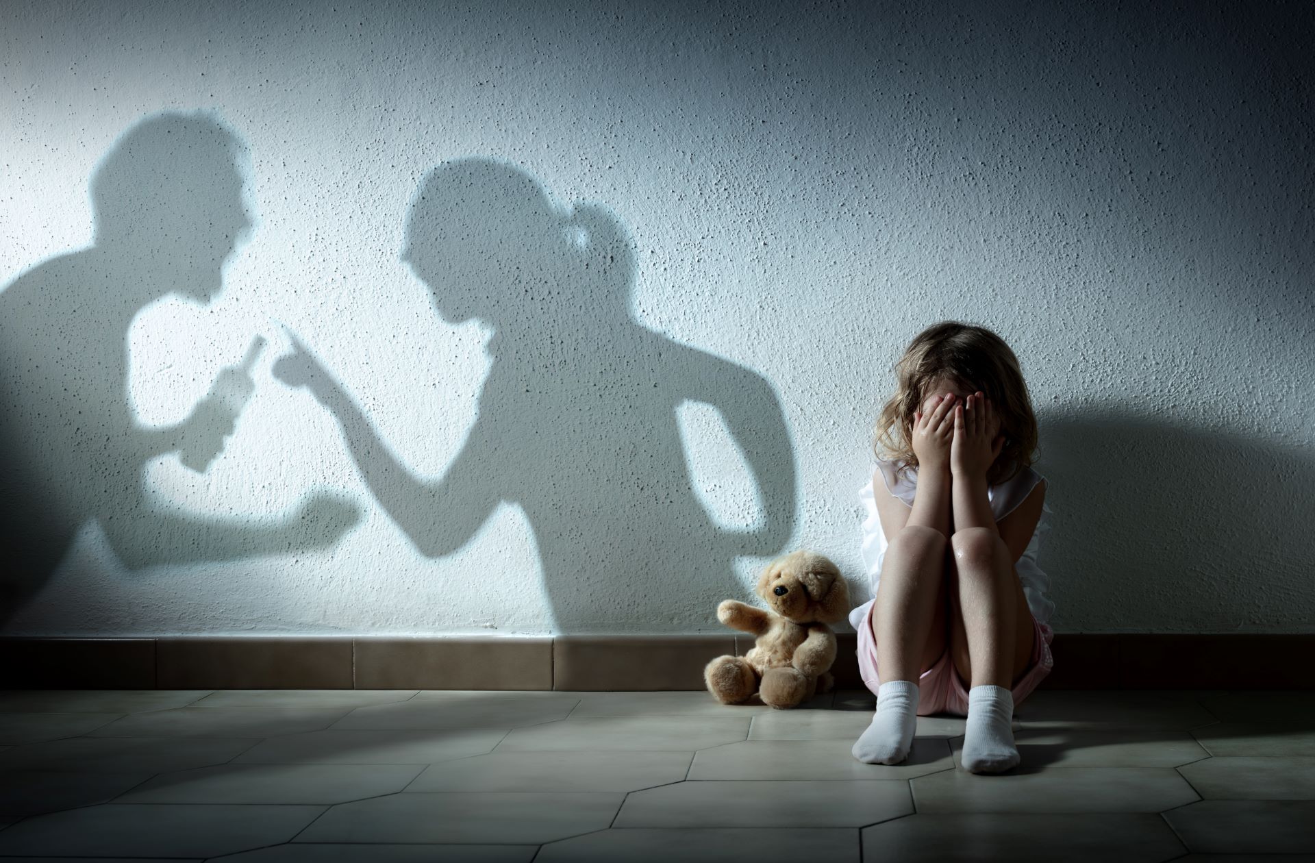 Countering Domestic Violence Accusations In Court