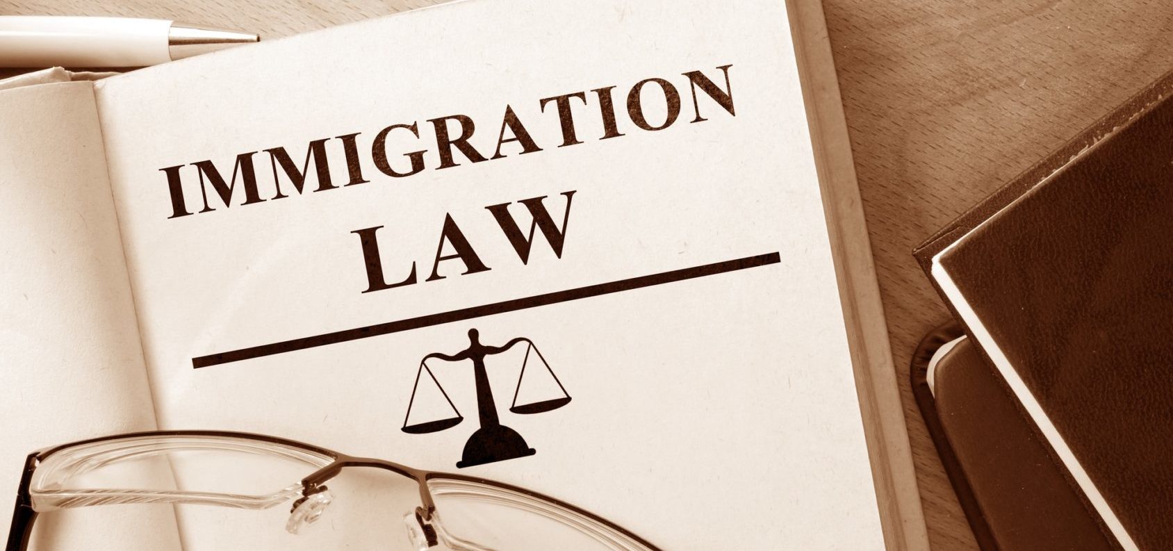 Immigration Laws: A Practical Guide with Hacking Law Practice